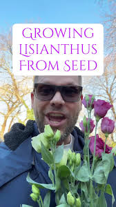 I have dipped my toe into some long-form instructional videos