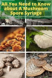 Jun 13, 2019 · allow the pressure cooker to cool off before removing. A Mushroom Spore Syringe All You Need To Know