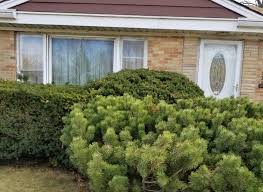 I never thought that I would be picked': Meet one of the first 16  recipients of Evanston reparations