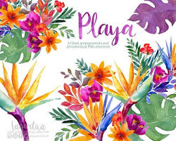 Watercolor Bird Of Paradise Png Bird Of Paradise Flower Strelitzia Watercolor Clipart Tropical Etsy In 2020 Birds Of Paradise Flower Watercolor Clipart Floral Painting