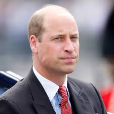 Both Prince Harry and William Decide to Cut Off Royal Donor