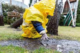 You can then decide which one you will be taking depending on your dog, budget, the size of the yard, alongside. 7 Effective Ways To Dry Up A Muddy Yard My Backyard Life