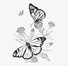 When we think of october holidays, most of us think of halloween. Butterfly Hummingbird Garden Ideas And Tips Butterfly Flower Coloring Pages Free Transparent Png Download Pngkey