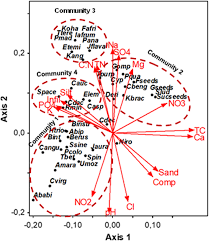 Image result for Kyphocarpa angustifolia