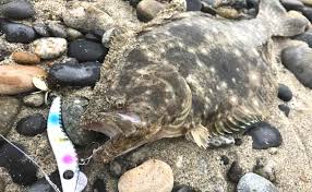 简体中文 (簡体字中国語) 繁體中文 (繁体字中国語) 한국어 (韓国語) ไทย (タイ語) български (ブルガリア語) čeština（チェ ポイントショップアイテム利用可能. åˆã‚ã¦ã®ãƒ'ãƒ©ãƒ¡ã‚' ç°¡å˜ã«é‡£ã‚‹ é‡£ã‚Šæ–¹ã‚'ã‚¤ãƒ©ã‚¹ãƒˆã‚'ä½¿ã£ã¦ã‚ã‹ã‚Šã‚„ã™ãç´¹ä»‹ é‡£ã‚Šã‚ã³