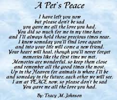 A Pet S Peace Poem By Tracy M Johnson Comfort For When A Pet Passes Away Dog Loss Quotes Dog Poems Pet Poems