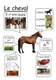 Http Media Cache Ak0 Pinimg Com 736x 3e A4 6f 3ea46f0087e4331aa7a699392edede6d Jpg Animaux De La Ferme Documentaire Animaux Imagier Animaux