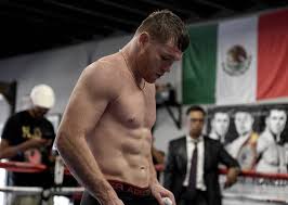 His nickname, canelo, means 'cinnamon', which goes well with apples. Despite His Doubters Canelo Alvarez Humbly Fights For Mexico The New York Times