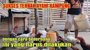 Karena dengan model kandang panggung dapat memudahkan perawatan kambing anda. Kandang Kambing Semi Umbarançš„youtubeè§†é¢'æ•ˆæžœåˆ†æžæŠ¥å'Š Noxinfluencer