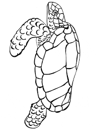 Check spelling or type a new query. Leatherback Sea Turtle Coloring Page Animals Town Free Leatherback Sea Turtle Color Sheet
