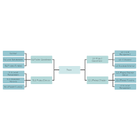 Organizational Chart Templates