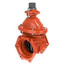 Mueller gate valve