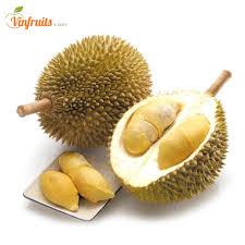 Để nhận biết sầu riêng ngon không bị nhúng thuốc hoặc sầu riêng còn non, người mua cần lưu ý phần gai, cuống cũng như tiếng kêu khi gõ lên quả, theo wikihow. Sáº§u Rieng Monthong Dona Ä'áº·c Sáº£n Thai Tren Ä'áº¥t Viá»‡t Vinfruits