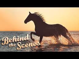 Die zeiten des sonnenaufgangs und sonnenuntergangs in 2021 auf einen blick. Pferd Am Strand Pferdefotografie Personal Coaching Mit Traumkulisse Vlog Wiebke Youtube