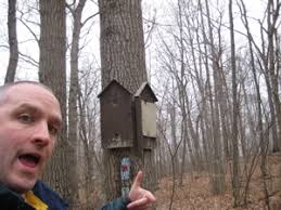 4 Cockaponset Area Trails