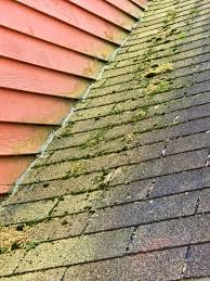 James hardie, the leader in fiber cement siding, has once again been recognized by green builder® for having the most sustainable siding products. How To Clean Algae And Moss Off Asphalt Shingles Signature Property Inspection