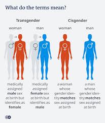 The legalisation of drugs in sport may be fairer and safer in 490 bc, the persian army landed on the plain of marathon, 25 miles from athens. Fact Check Do Trans Athletes Have An Advantage In Elite Sport Sports German Football And Major International Sports News Dw 24 07 2021