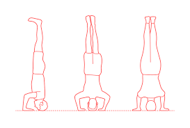 Yoga anatomy learn more about the anatomy of the body to better understand safe and stable physical alignment in yoga poses. Tripod Headstand Sirsasana Dimensions Drawings Dimensions Com