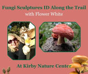Fungi Sculptures ID Along the Trail with Flower White