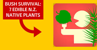 A collection of both gumpaste icing sprays individual gumpaste flowers as well as royal icing piped flowers. Bush Survival 7 New Zealand Edible Native Plants