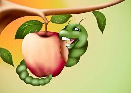 If you want your spray to have even more umph, add 1 to 1 1/2 tablespoons of baking soda/ potassium bicarbonate or 1/4 cup garlic tea. Fruit Tree Pests Control Home Gardening Gardens Nursery