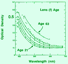 parts of the eye