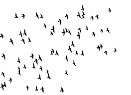 To get more templates about posters,flyers. Flock Of Birds Png By Kasirun Hasibuan On Deviantart