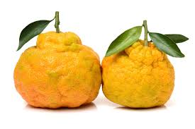 Pin On Fruit Aversion