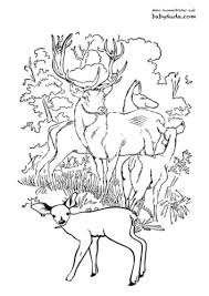 Herbst Ausmalbilder Herbstmotiv Herbstlaub Tiere Babyduda Malbuch