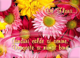 Mesaje Pt Sarbatoriti De Florii
