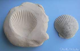 Various tools, from ones you purchase to items in the home. Exploring Texture With Clay Shells Stir The Wonder