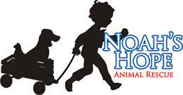How to adopt a dog. Pets For Adoption At Noah S Hope Animal Rescue In Sioux City Ia Petfinder