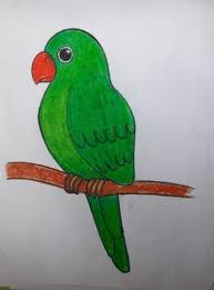 Bird Drawing For Kids Parrot Baby Bird Quotes Children 59 Ideas For 2019 Bird Drawings Bird Drawing For Kids Art Drawings For Kids