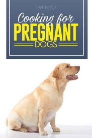 What And How To Feed Pregnant And Nursing Dogs In 2020 Pregnant Dog Dog Birth Healthy Dog Food Recipes