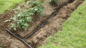 Here is a system that allows you to have a life away from home and grow fresh vegetables. How To Make A Soaker Hose
