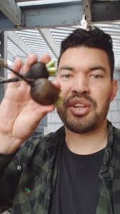 some weird radishes I grew #garden #grow #radish #nature