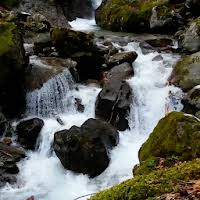 1280x720 live wallpaper watery desktop 3d animate your desktop with water. Download Nature Live Wallpaper Free For Android Nature Live Wallpaper Apk Download Steprimo Com