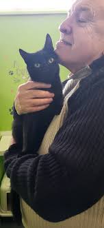 Profile for Cosy Cat Boarding cattery