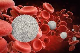 Blood Cancer Detection