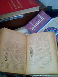 معجم ويكيبيديا