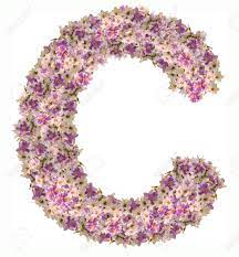Are you searching for transparent background png images? Letter C Alphabet With Zinnia Flower Abc Concept Type Typography Design Stock Photo Picture And Royalty Free Image Image 65296093