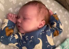 Successful Adoptions: Photolisting