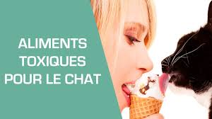 Epingle Sur Chats