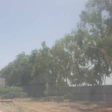 A Vendre Un Terrain Rufisque Nous Mettons En Vente Un Terrain De 9000m Sur La Route De L H Pital Youssou Kebetu Dakar Senegal A Vendre Route Annonce