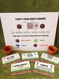 Minecraft Party Flower Growing Pdf Activity Package Kit Instant Download On Etsy 7 00 Min Minecraft Party Minecraft Party Activities Minecraft Birthday Party