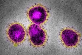 Coronavirus | New Scientist