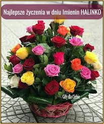 Gify i obrazki o 23:23. Gify Dla Ciebie Halina Wszystkiego Najlepszego Facebook