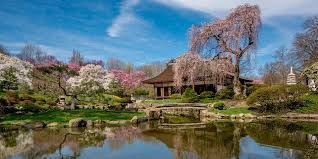 Traditional japanese house design with stunning forest. Shofuso Japanese House And Garden Exhibition Hypebeast