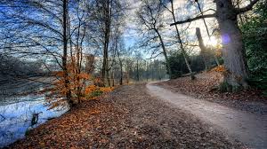 Ultra Hd 8k Resolution 7680x4320 Natures Way 8k Wallpaper Hdwallpaper Desktop Nature Background Images Background Images Nature Backgrounds