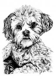 Browse our french bulldog coloring pages images, graphics, and designs from +79.322 free vectors graphics. French Bulldog And Its Harmonious Patterns Dogs Adult Coloring Pages
